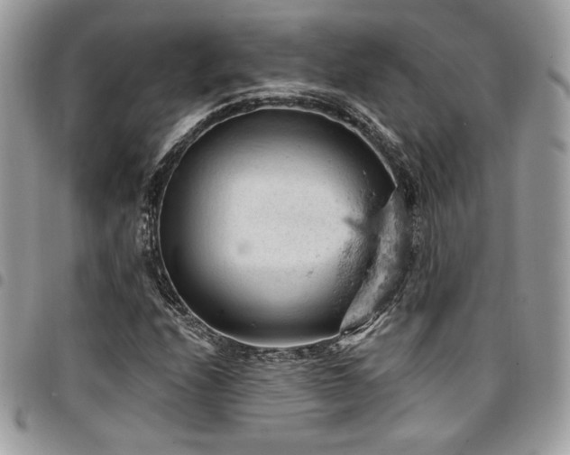 X0000096951208200802081222