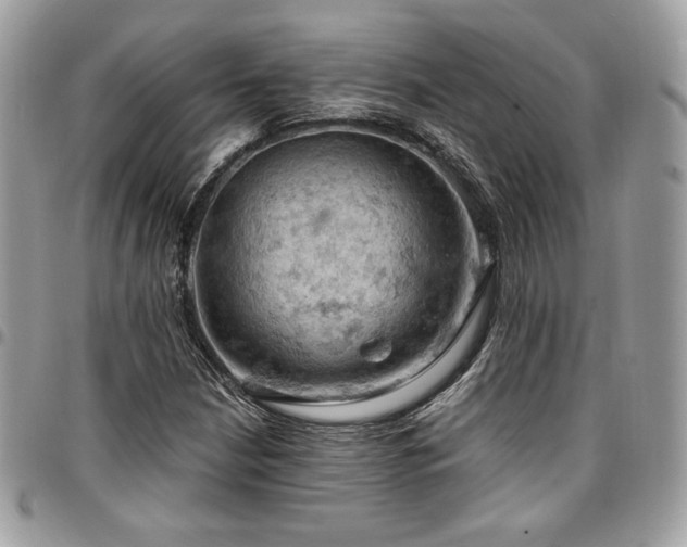 X0000096951210200802081222