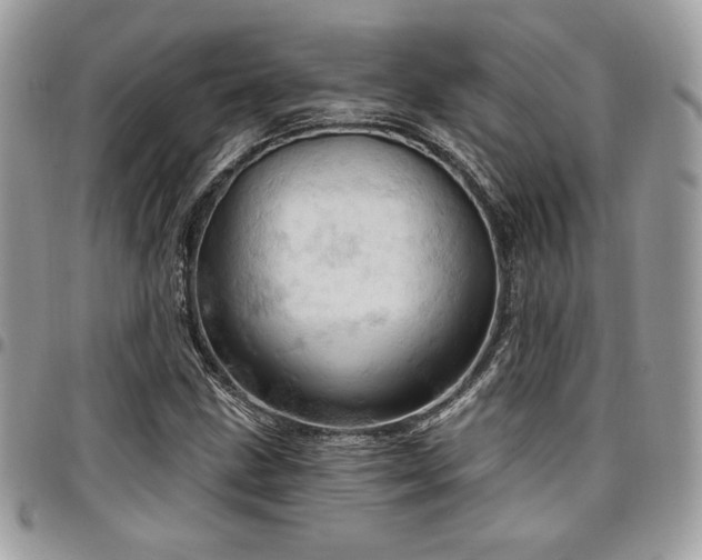 X0000096951211200802081222
