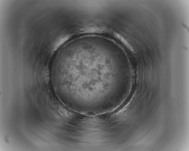 X0000096951213200802081222