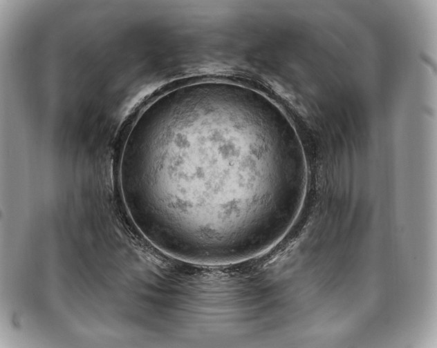 X0000096951214200802081222