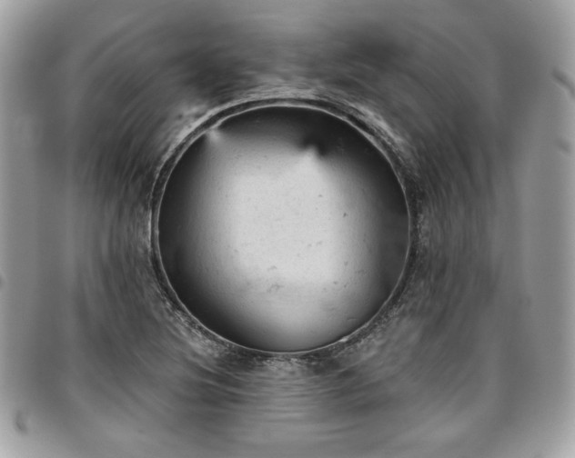 X0000096951220200802081222