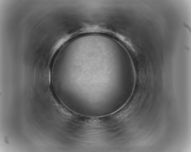 X0000096951221200802081222