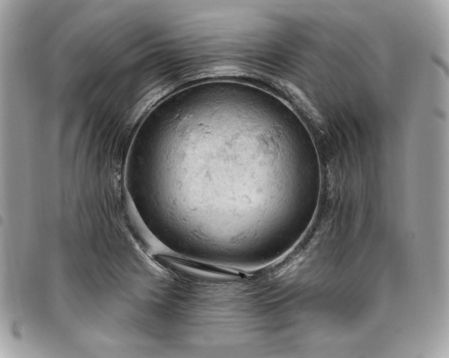 X0000096951225200802081222
