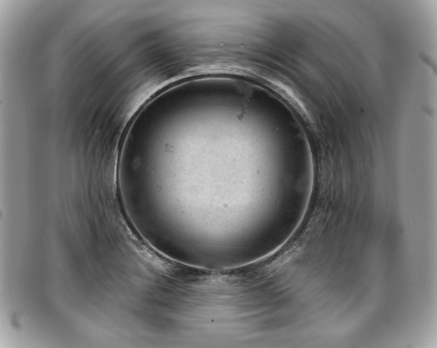 X0000096951228200802081222