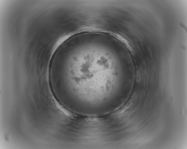 X0000096951231200802081222