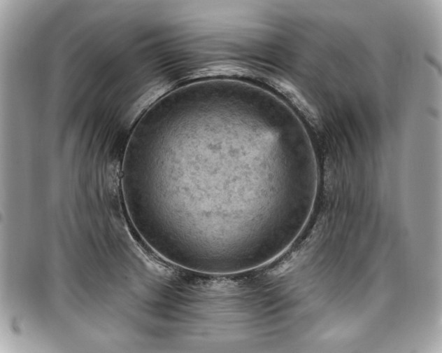 X0000096951233200802081222