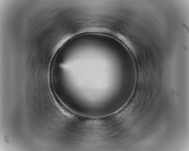 X0000096951237200802081222
