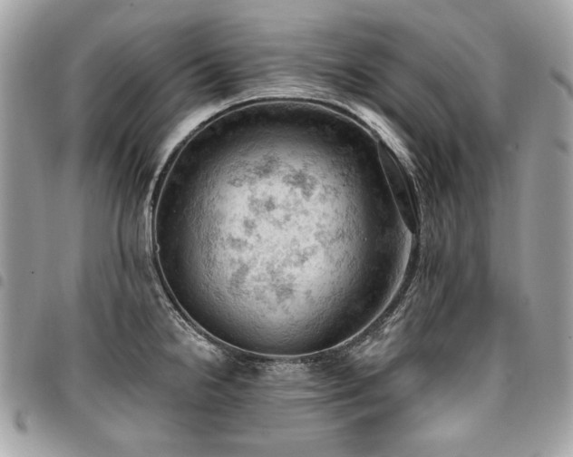 X0000096951238200802081222