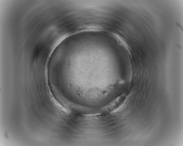 X0000096951243200802081222