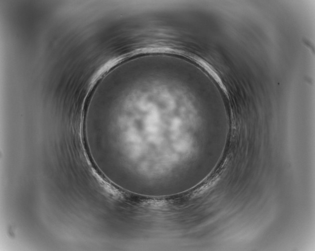 X0000096951245200802081222