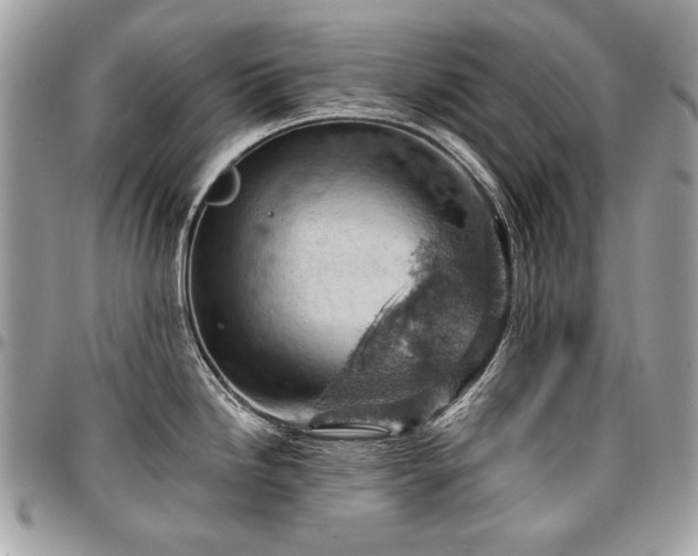 X0000096951246200802081222