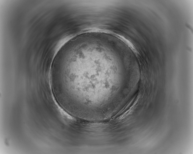 X0000096951247200802081222