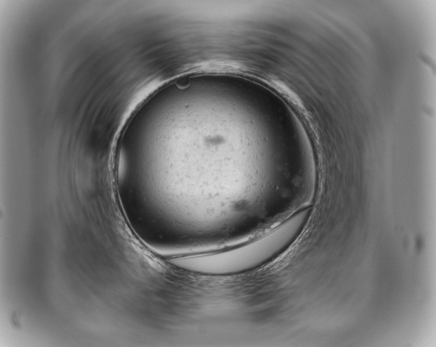 X0000096951248200802081222