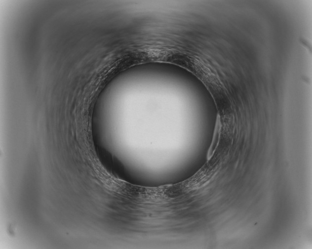 X0000096951249200802081222