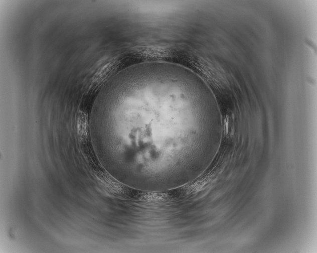 X0000096951251200802081222