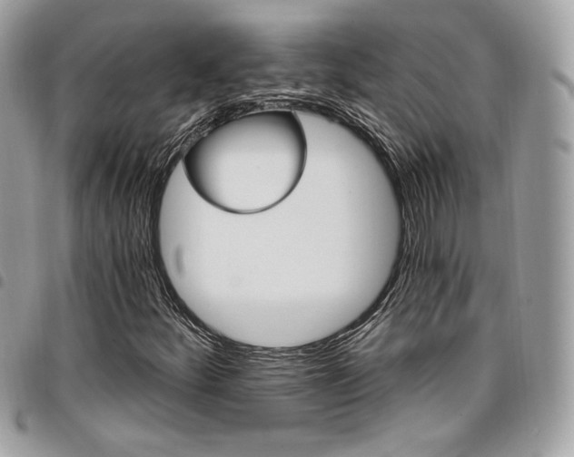 X0000096951252200802081222