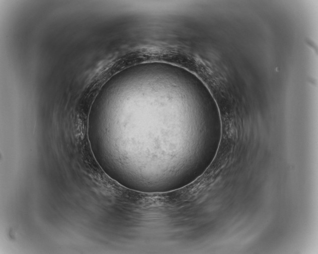 X0000096951253200802081222