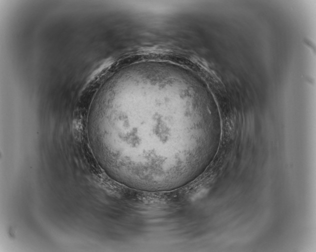 X0000096951254200802081221