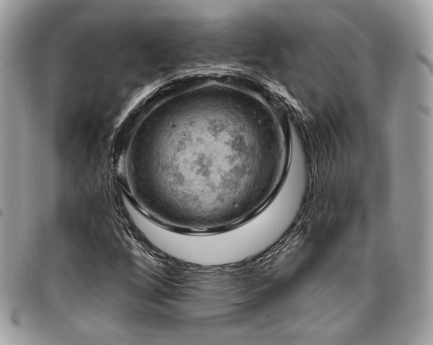 X0000096951256200802081221