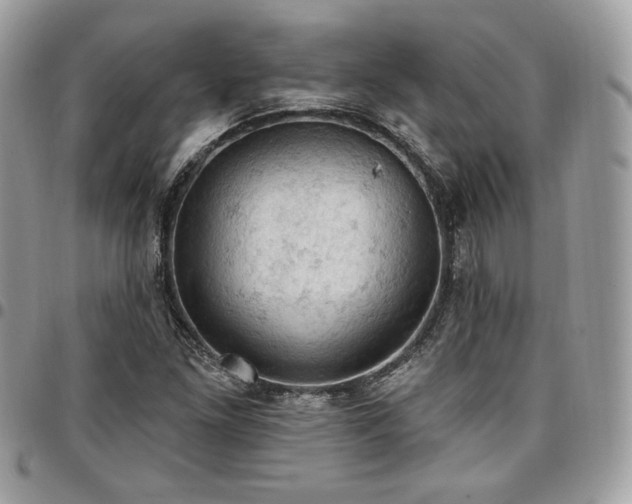 X0000096951261200802081221