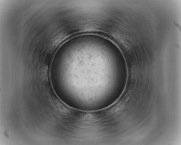 X0000096951265200802081221