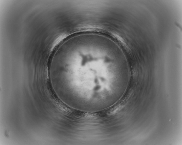 X0000096951267200802081221