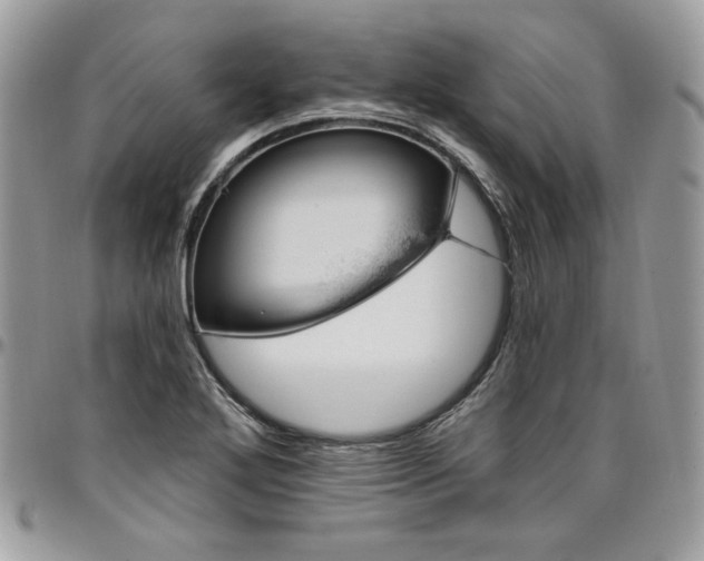 X0000096951272200802081221