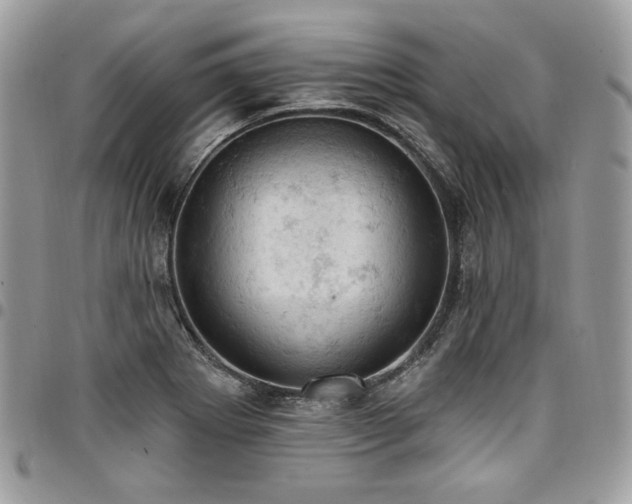 X0000096951273200802081221