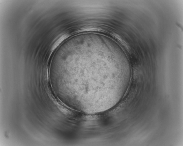 X0000096951274200802081221