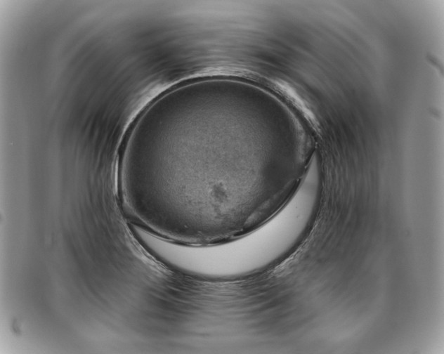 X0000096951276200802081221