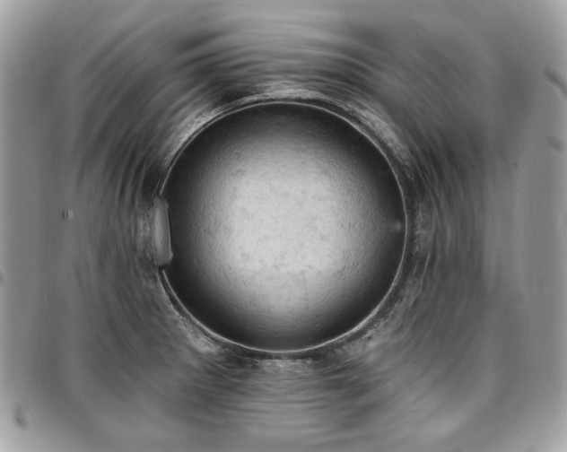 X0000096951281200802081221