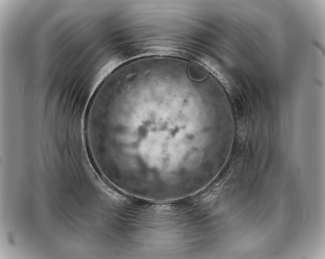X0000096951283200802081221