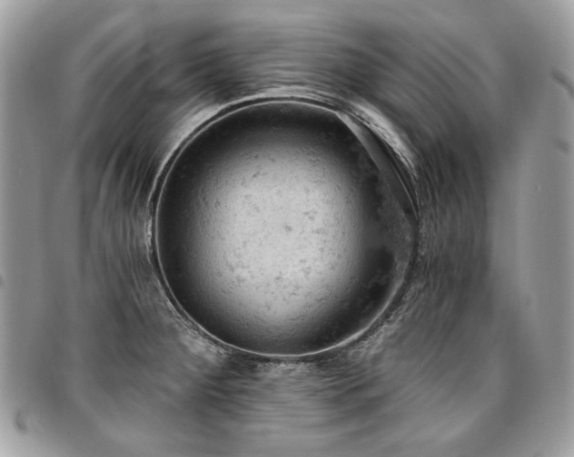 X0000096951284200802081221