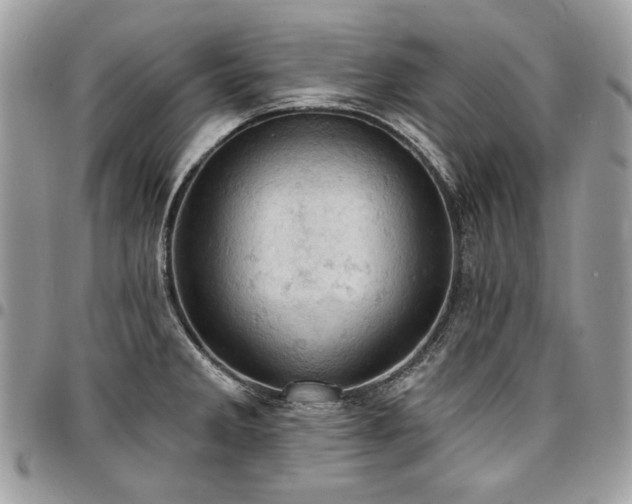 X0000096951285200802081221