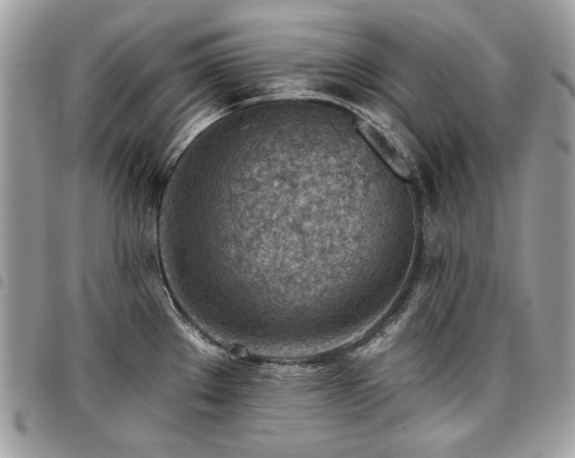 X0000096951289200802081221