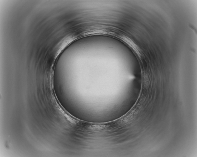 X0000096951290200802081221