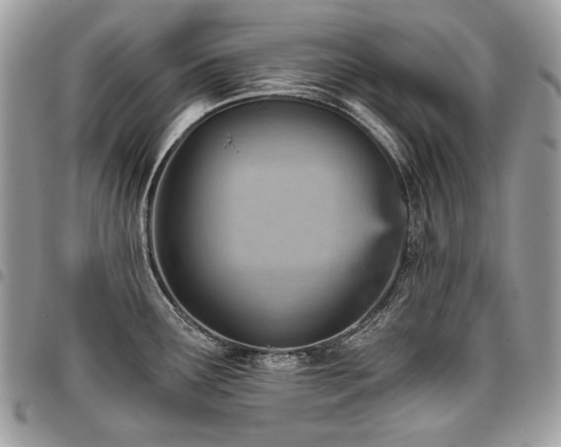 X0000096951291200802081221