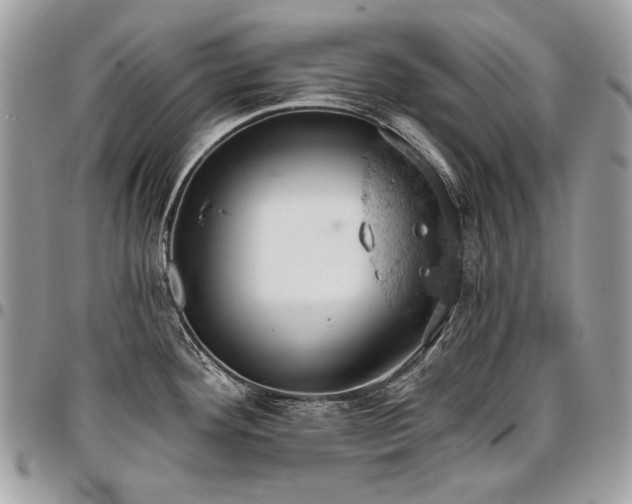 X0000096951292200802081221