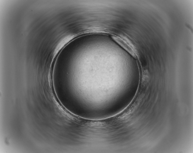 X0000096951293200802081221