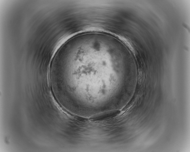 X0000096951295200802081221
