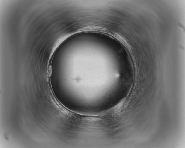 X0000096951296200802081221