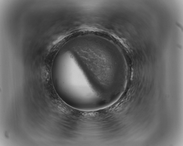 X0000096951303200802081220