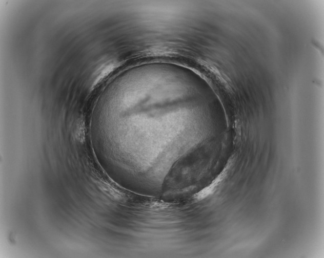 X0000096951306200802081220