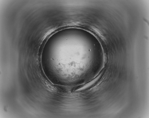 X0000096951308200802081220
