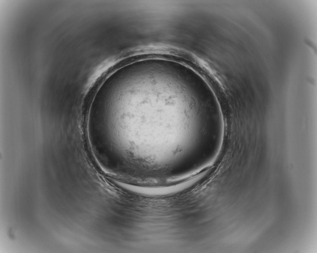 X0000096951312200802081220