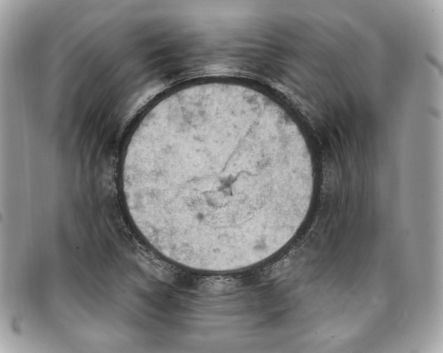 X0000096951314200802081220