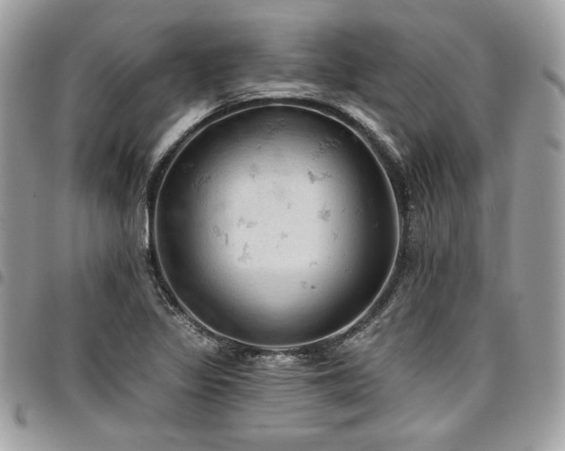 X0000096951317200802081220
