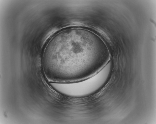 X0000096951318200802081220