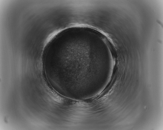 X0000096951319200802081220